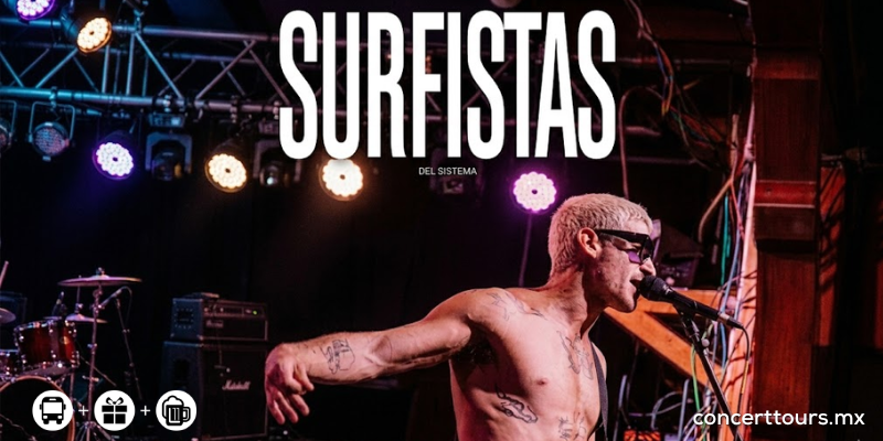 Surfistas del sistema